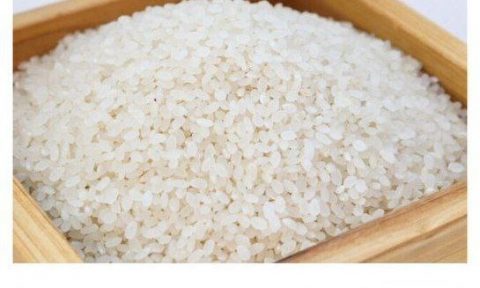 ♦️امروز قیمت یک کیلو برنج هاشمی به ۸۰ هزار تومان رسیده است