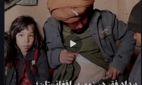 🎥بیداد فقر در افغانستان؛ غلام کلیه‌اش را ۲۳۰۰ دلار فروخت