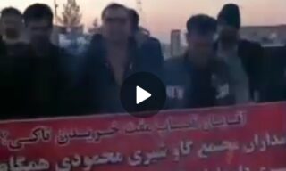 اعتصاب و تجمع اعتراضی دامداران یزد