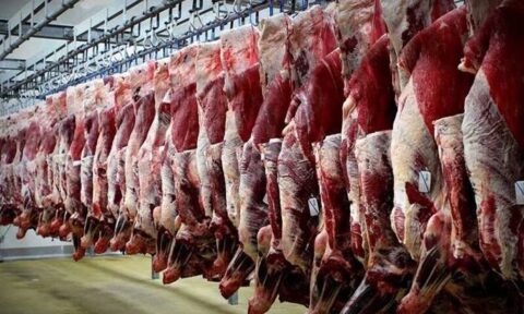 مافیای گوشت اجازه کاهش قیمت را نمی‌دهد