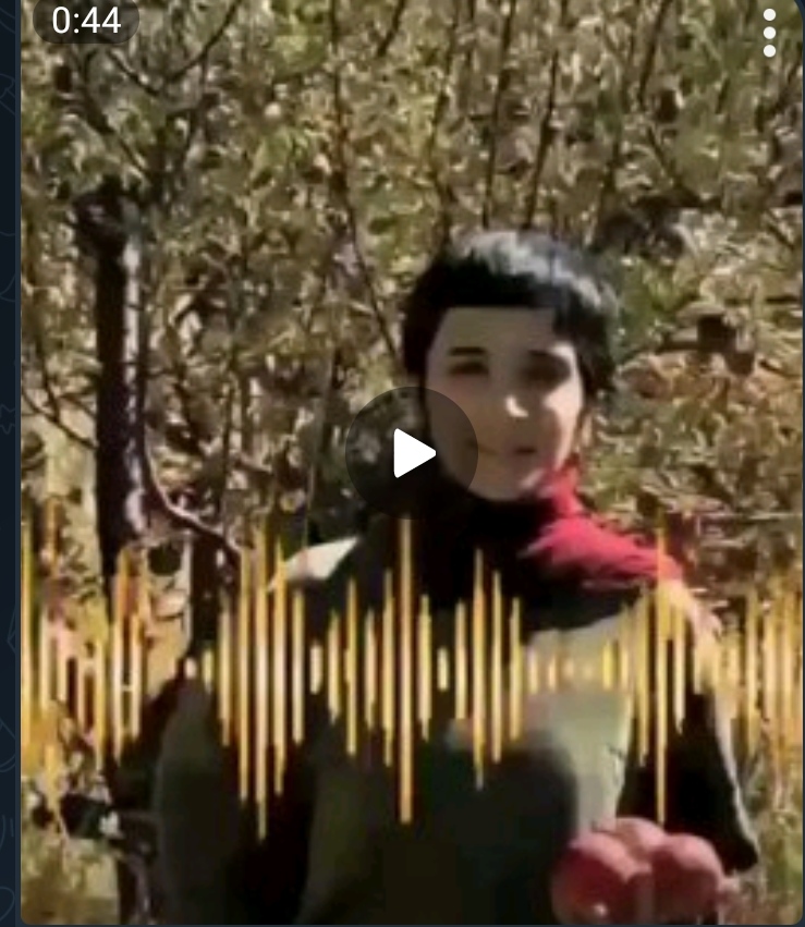 حمایت لیلا حسین زاده، فعال دانشجویی محبوس در زندان عادل آباد شیراز از اعتراضات سراسری در ایران